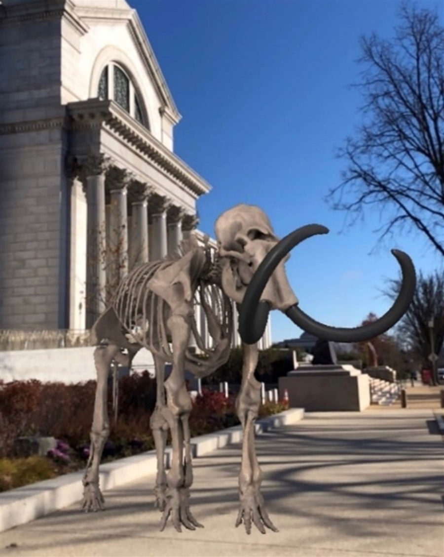 Life-Sized Dinosaur Skeletons and Dancing Boots: Smithsonian Releases Augmented Reality Filters on Instagram