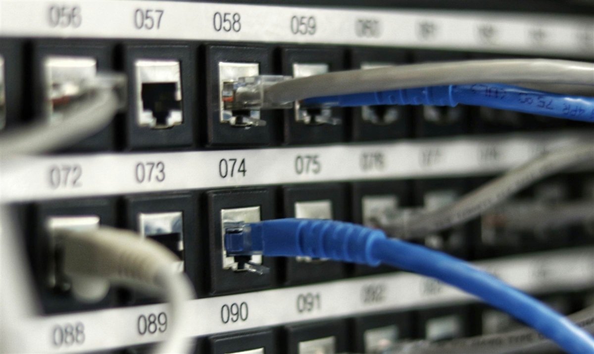 Close up photo of patch panel with multiple Ethernet connections.